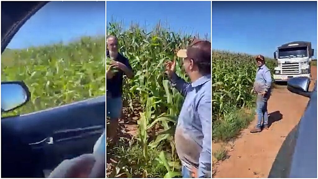 Caminhoneiro pegando milho no Mato Grosso do Sul é surpreendido por atitude do fazendeiro 