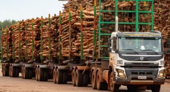 Qual o tipo carreta que pode ter o maior peso possível?