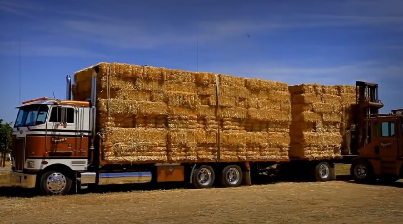 Conheça os dez caminhões agrícolas mais fantásticos do mundo