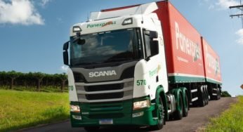 Transportadora Panex abre vagas para motorista carreteiro