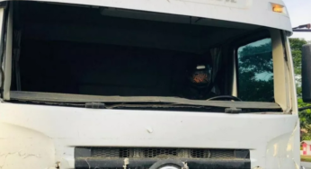 Caminhoneiro foi multado por usar capacete para viajar com seu caminhão sem para-brisa