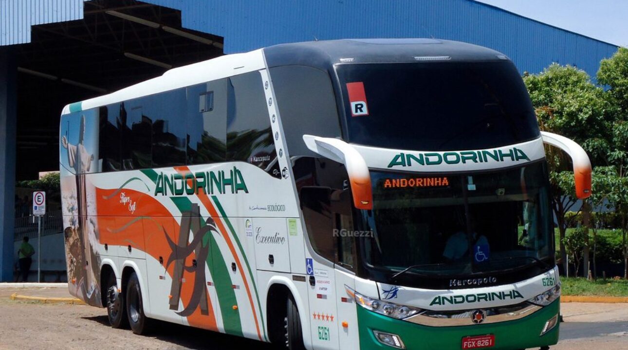 A empresa Andorinha anunciou vagas para motorista de ônibus