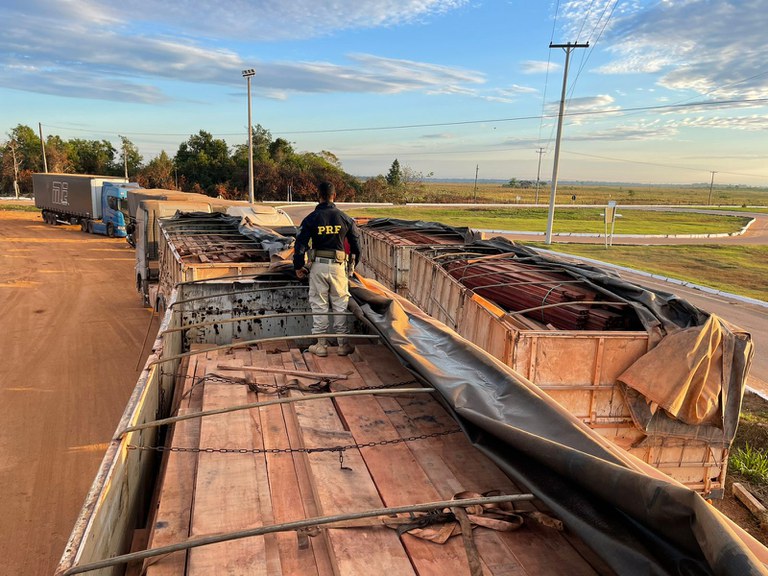 Caminhões são apreendidos após realizarem transporte ilegal de madeira na BR-319