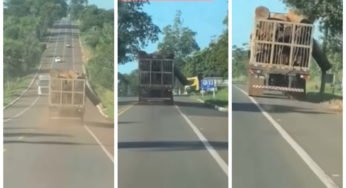 Caminhoneiro demonstra agilidade com carregamento de tora de madeira desprendido enquanto trafegava
