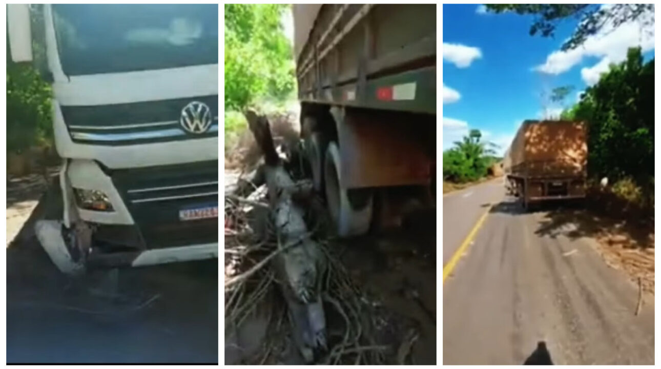 Caminhoneiro destrói caminhão para evitar colisão frontal com caminhonete