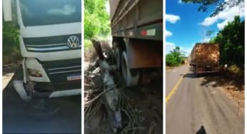 Caminhoneiro destrói caminhão para evitar colisão frontal com caminhonete