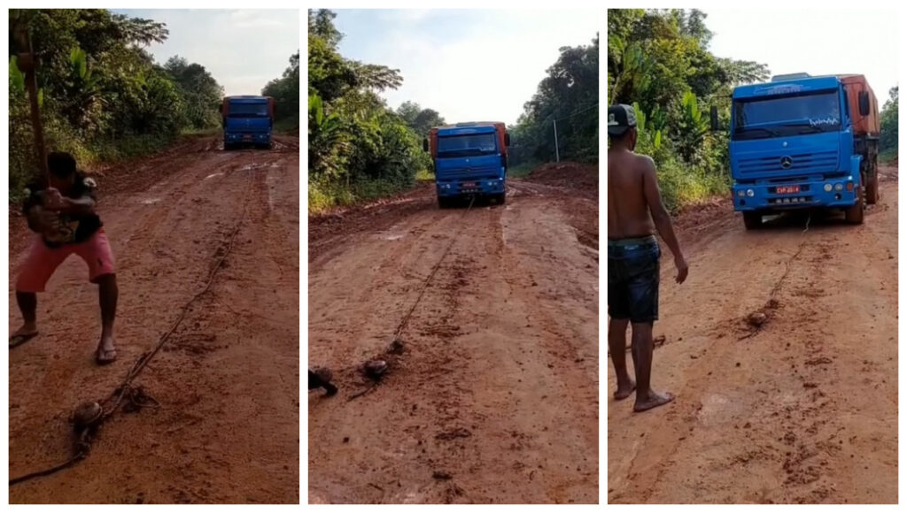 Caminhoneiro mostra um novo método para desatolar caminhão