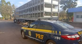 Carretas adulteradas foram flagradas pela PRF no último final de semana