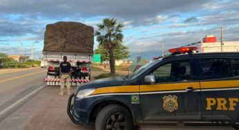 PRF apreende carga de 16 toneladas de gesso sem nota fiscal em Pernambuco