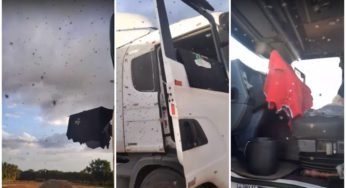 Enxame de abelhas toma conta da boleia de caminhão