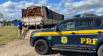 PRF flagra carreta com 50 m³ de madeira irregular