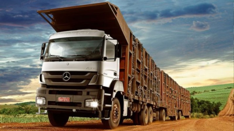 Transportadora Nardini Agroindustrial abriu novas vagas para caminhoneiro carreteiro
