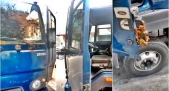 Caminhoneiro parar para almoçar e ao retornar encontra seu veículo repleto de “fezes” em Alagoas