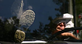 Caminhoneiros não podem ser multados onde não existe ponto de descanso: o que diz a lei