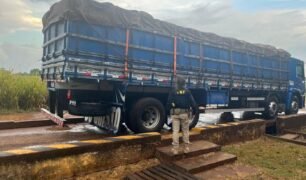 PRF no Maranhão termina fiscalização com flagrante de mais de 579 toneladas