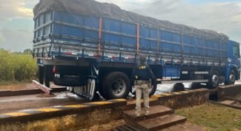 PRF no Maranhão termina fiscalização com flagrante de mais de 579 toneladas