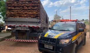 Polícia Rodoviária Federal apreende carga de madeira irregular no Maranhão