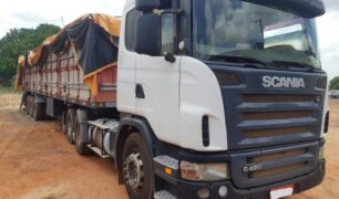 Em três dias de operação, PRF apreende 5 carregamentos de madeira ilegal