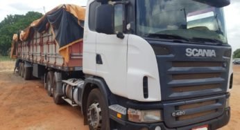 Em três dias de operação, PRF apreende 5 carregamentos de madeira ilegal