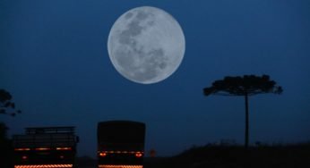 O Caminhoneiro que Enfrentou um Lobisomem