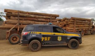 PRF apreende caminhão com 58 toras de madeira ilegal no Pará