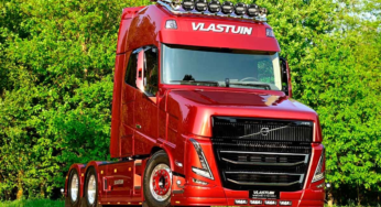 Veja os bicudos que você ainda não conhece