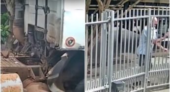 Video: Caminhão desgovernado quase atinge um homem