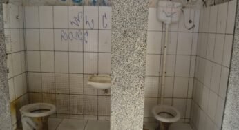 Caminhoneiro registra condições precárias em banheiro “tinha até sapo”.