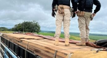 Mais um caminhão é apreendido pela PRF Por transportar madeira de forma ilegal