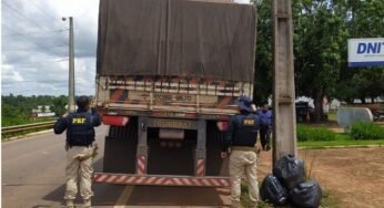 PRF apreende caminhão com mais de 50³ de madeira sem a licença válida para o transporte