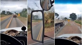 Caminhoneiro dá “bicicleta” em companheiro de estrada de forma perigosa