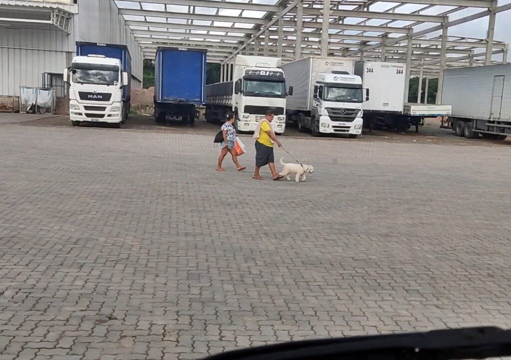 Caminhoneiro passeando com o seu cachorro