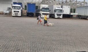 Caminhoneiro passeando com o seu cachorro
