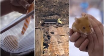 Video: Volvo coloca um hamster para dirigir caminhão