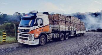 Transportadora Lima abre vagas para motorista carreteiro