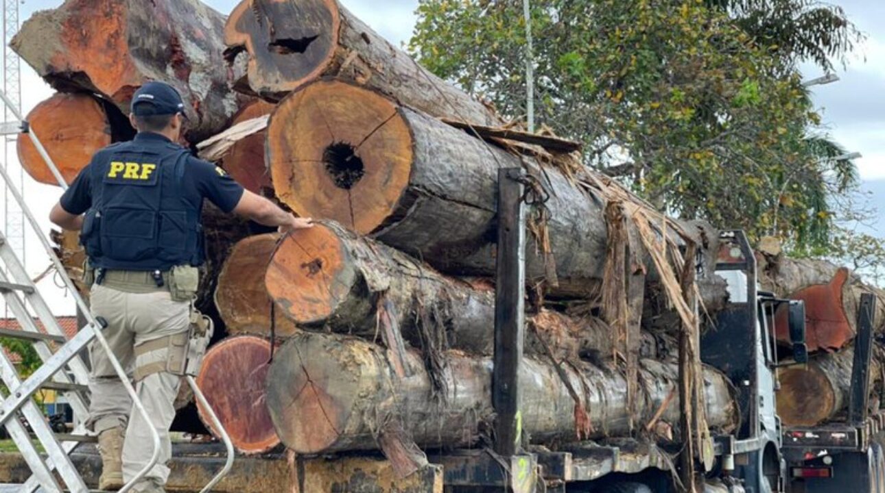 Polícia rodoviária federal bate recorde em autuações no estado do Pará