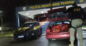 Motorista é detido pela PRF após saquear carga de caminhão acidentado