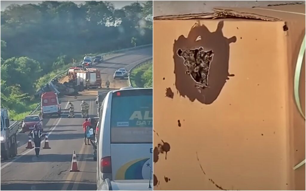 caminhoneiro com caminhão tombado