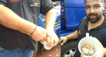 Caminhoneiro mostra como tirar a casca do alho de forma rápida e prática