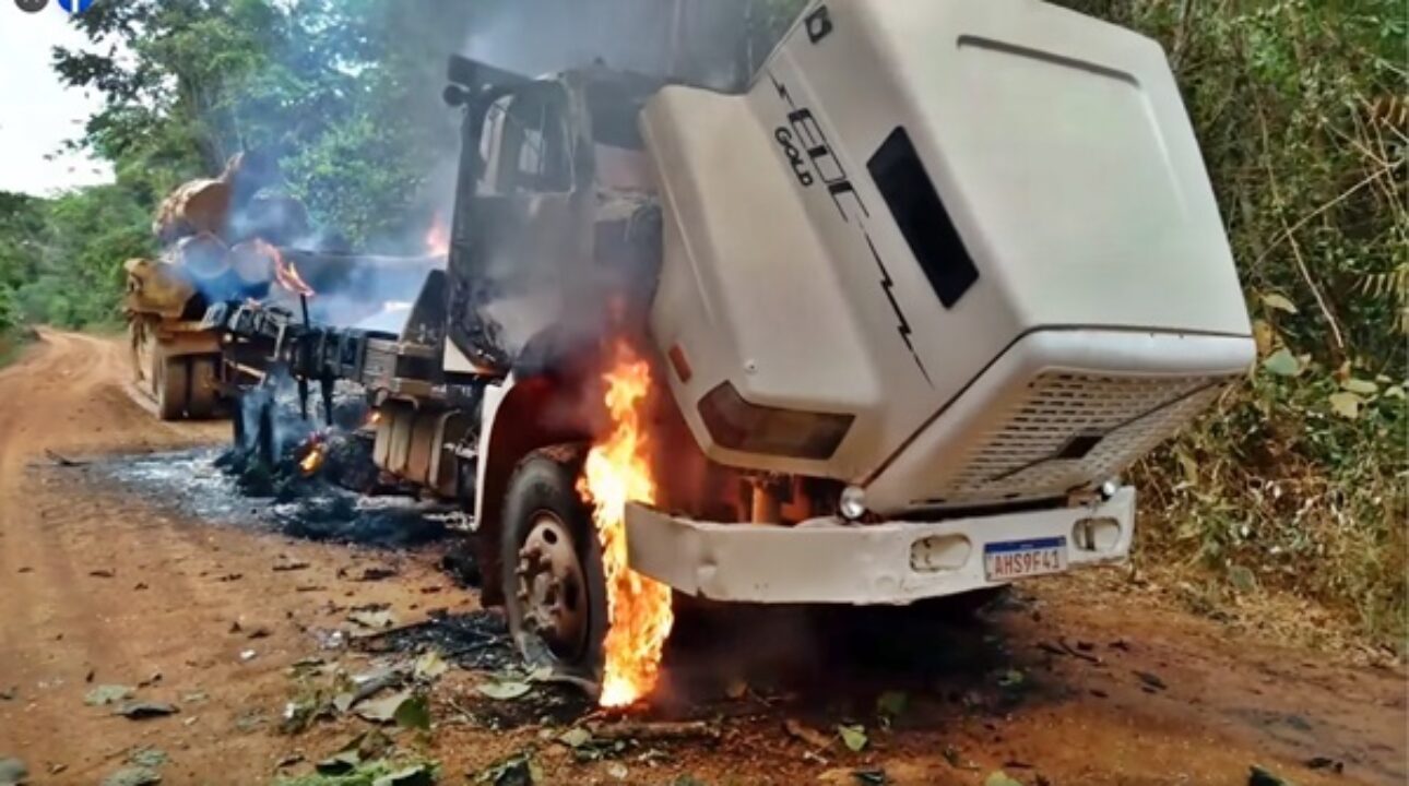 Ibama pode mesmo atear fogo nos caminhões?