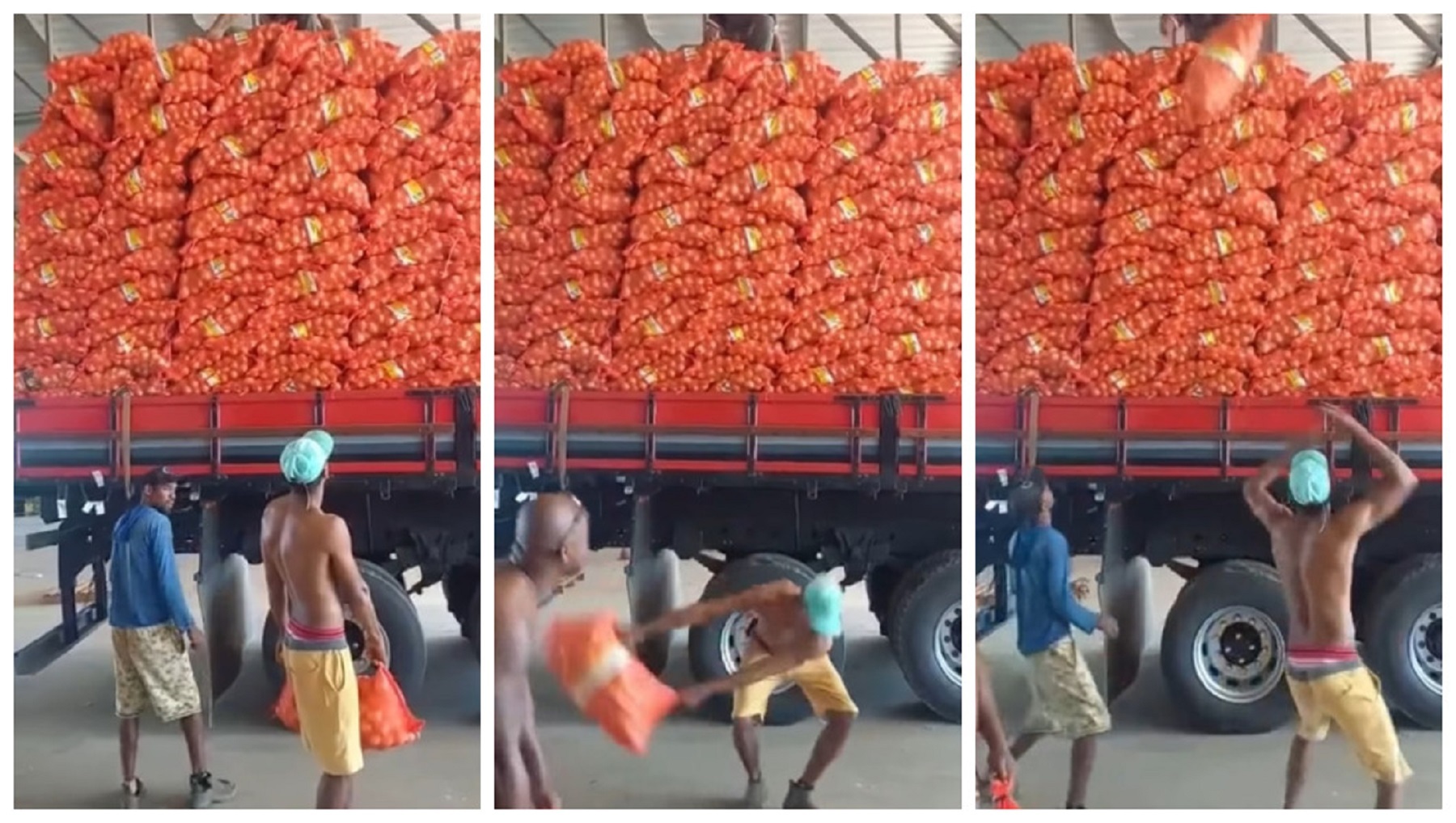 Veja como é carregado um caminhão carga alta com sacos de batatas