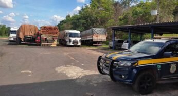 PRF faz apreensão de 300 m³ de madeira ilegal em operação no mês de janeiro no Maranhão