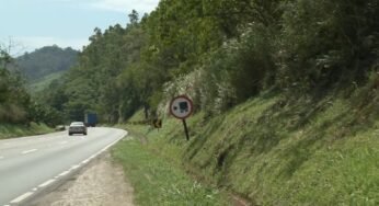 O perigo de trafegar em rodovias com encostas