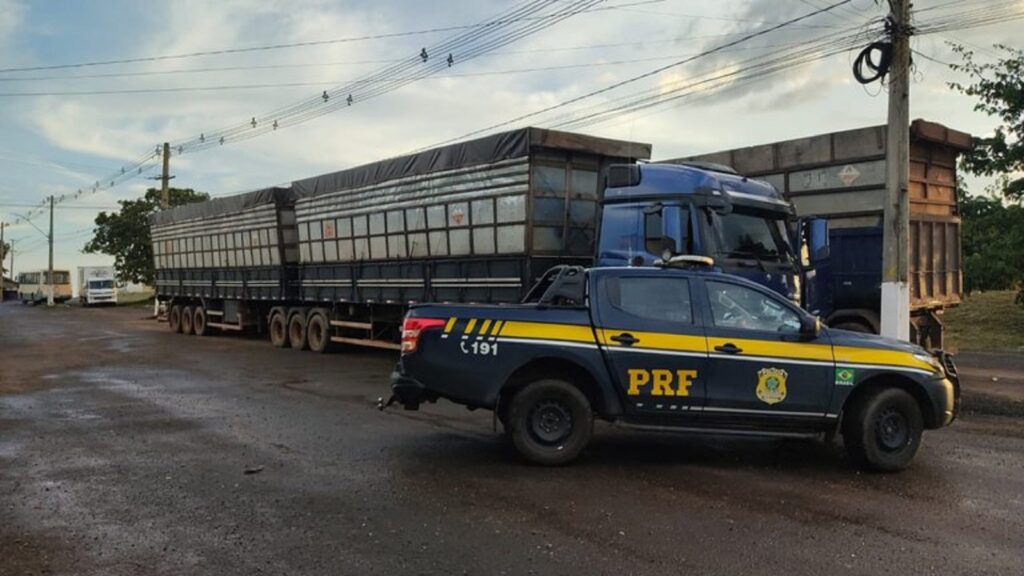 PRF apreende carreta transportando carvão ilegalmente na BR-230