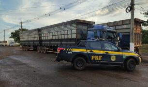 PRF apreende carreta transportando carvão ilegalmente na BR-230