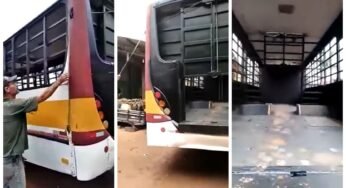 Caminhoneiro transforma ônibus em caminhão boiadeiro