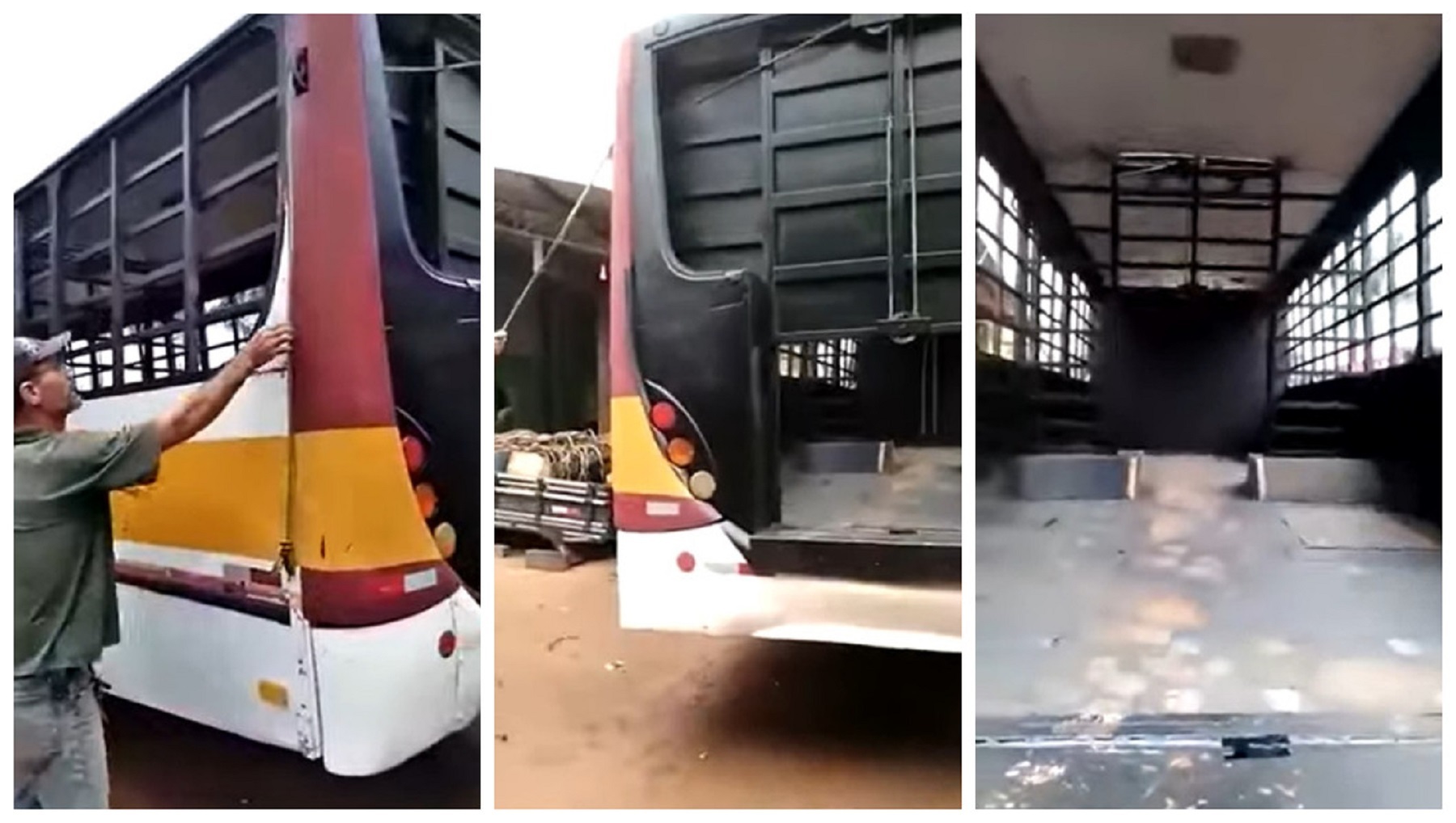 Caminhoneiro transforma ônibus em caminhão boiadeiro