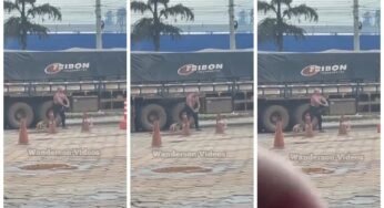 Caminhoneiro é flagrado utilizando a roda do caminhão para praticar atividade física