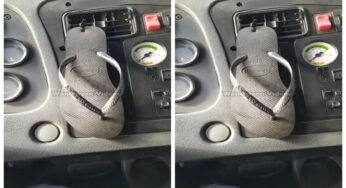 Caminhoneiro cria suporte de celular com havaiana em caminhão