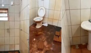 Caminhoneiro receberá R$ 10 mil por falta de higiene em banheiro da empresa